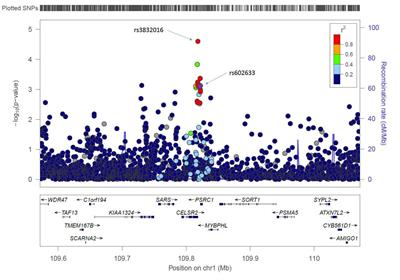 Evaluation of 71 Coronary Artery Disease Risk Variants in a Multiethnic Cohort